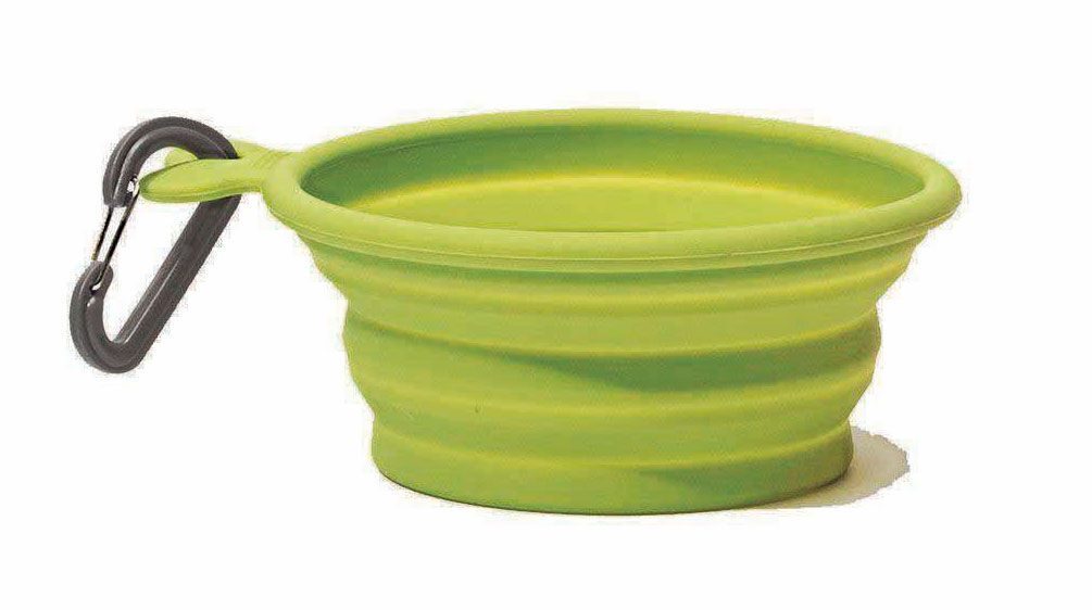 Collapsible dog bowl